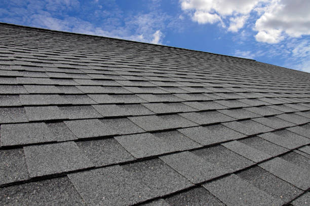 Professional  Roofing repair and installation in Williams, AZ